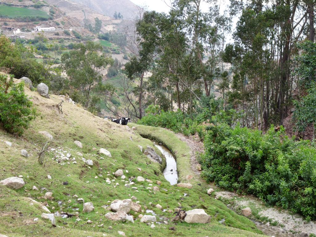 Peru: en route Canyon del Pato